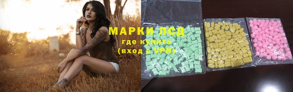 стафф Алексин
