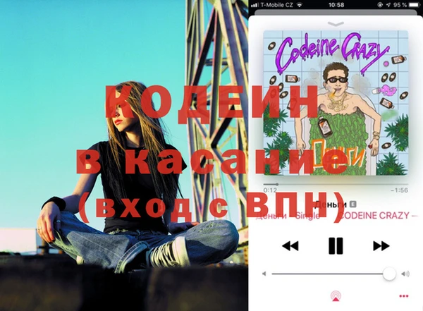 стафф Алексин