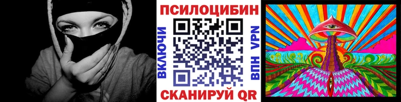 Псилоцибиновые грибы мухоморы  купить наркотик  Сухой Лог 